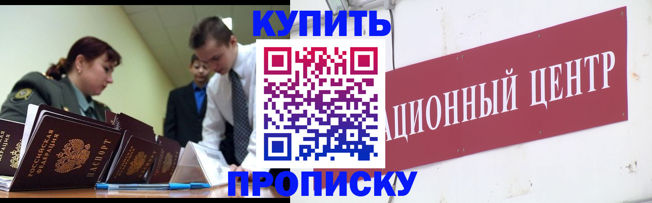 прописка поиск в Амурской области